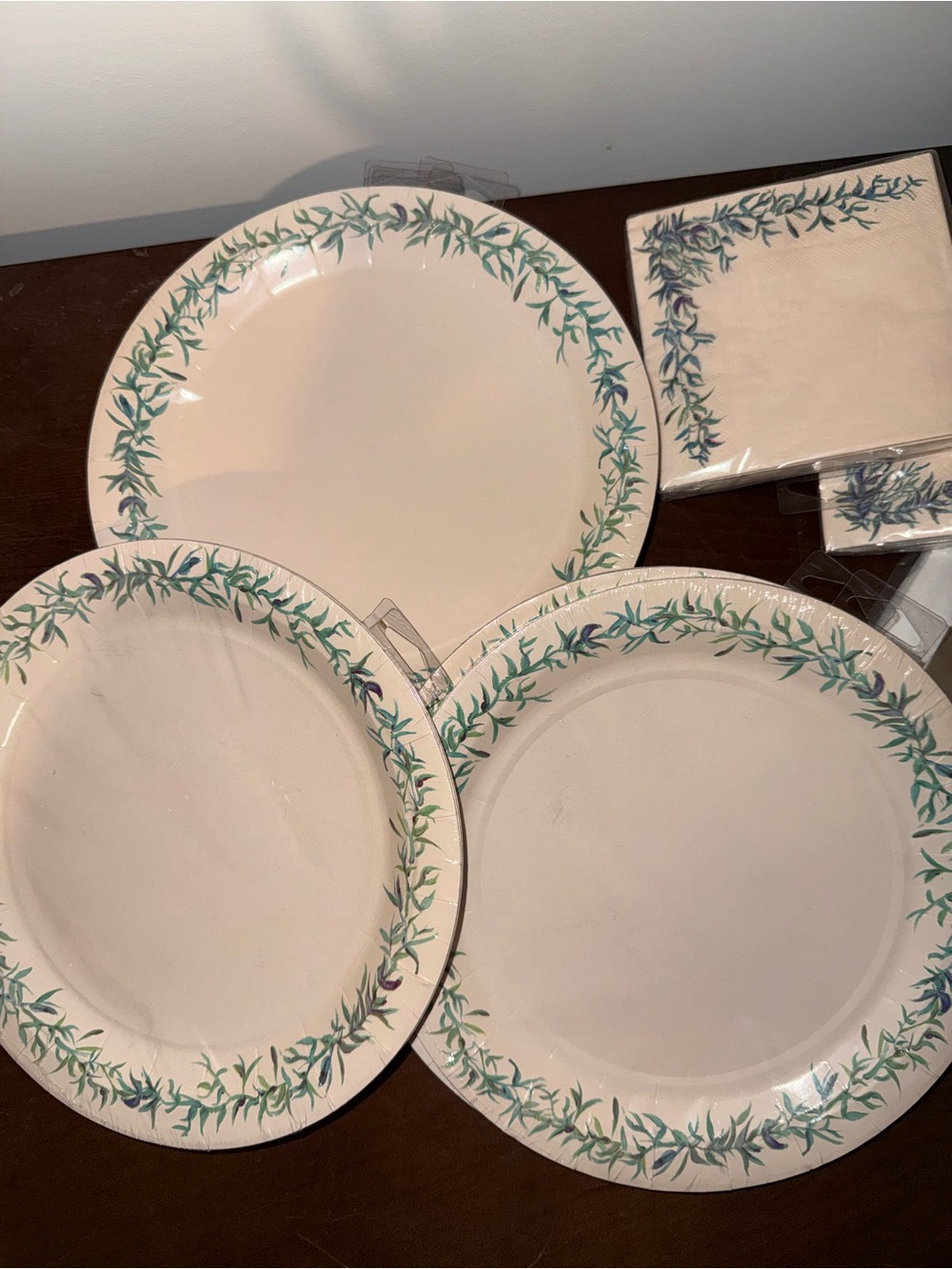 Pier 1 Cream 9” Dinner Plates w/ Green Leaf Border & Matching Napkins Disposabl
